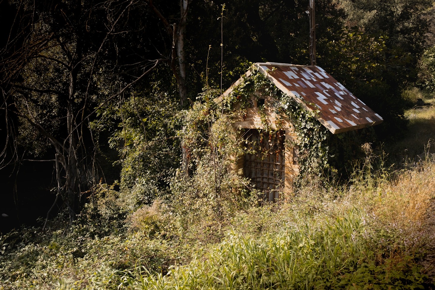 Cómo disfrutar al máximo del entorno rural